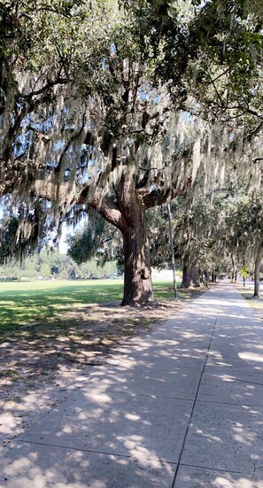 Property grounds