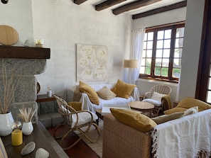 TV, fireplace, books, stereo