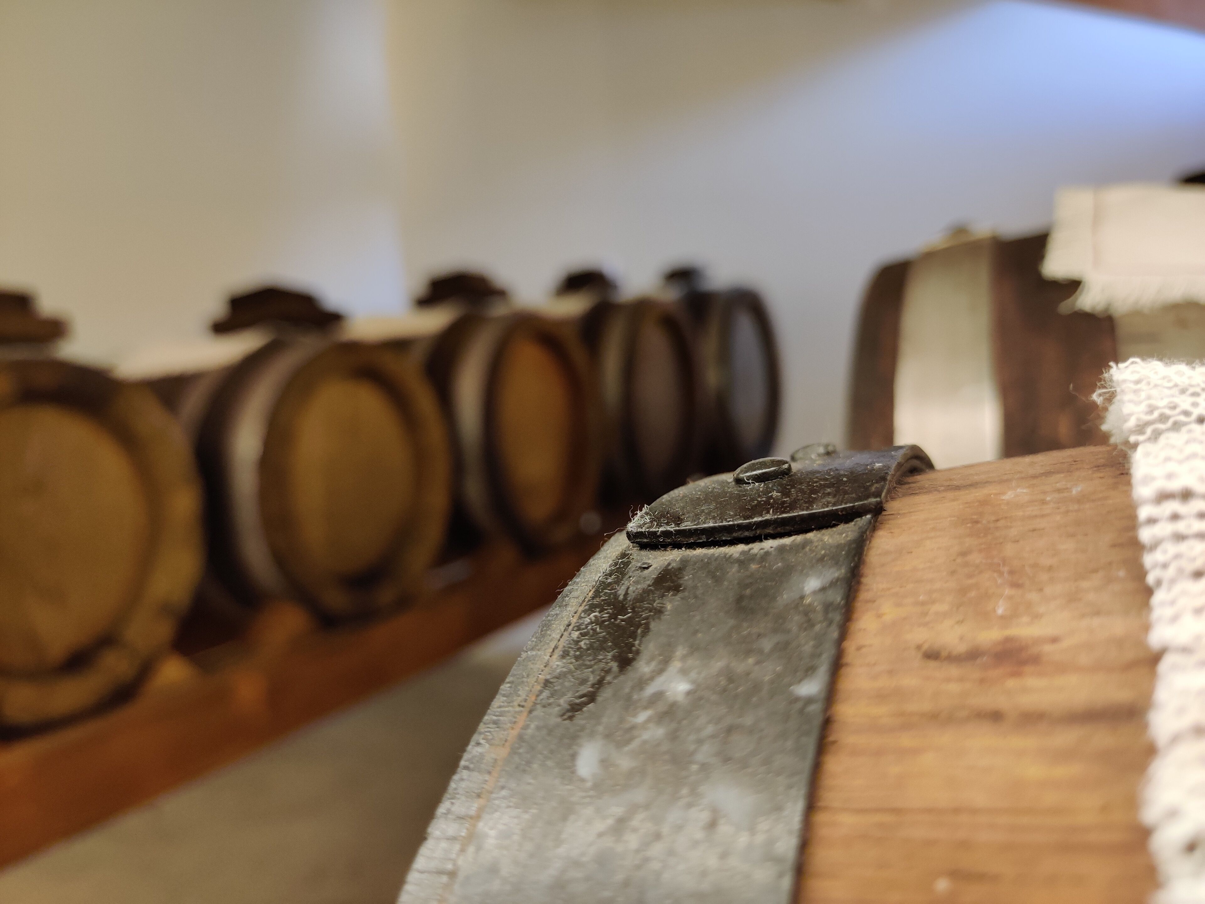 Foto - La Bella Modena Centro