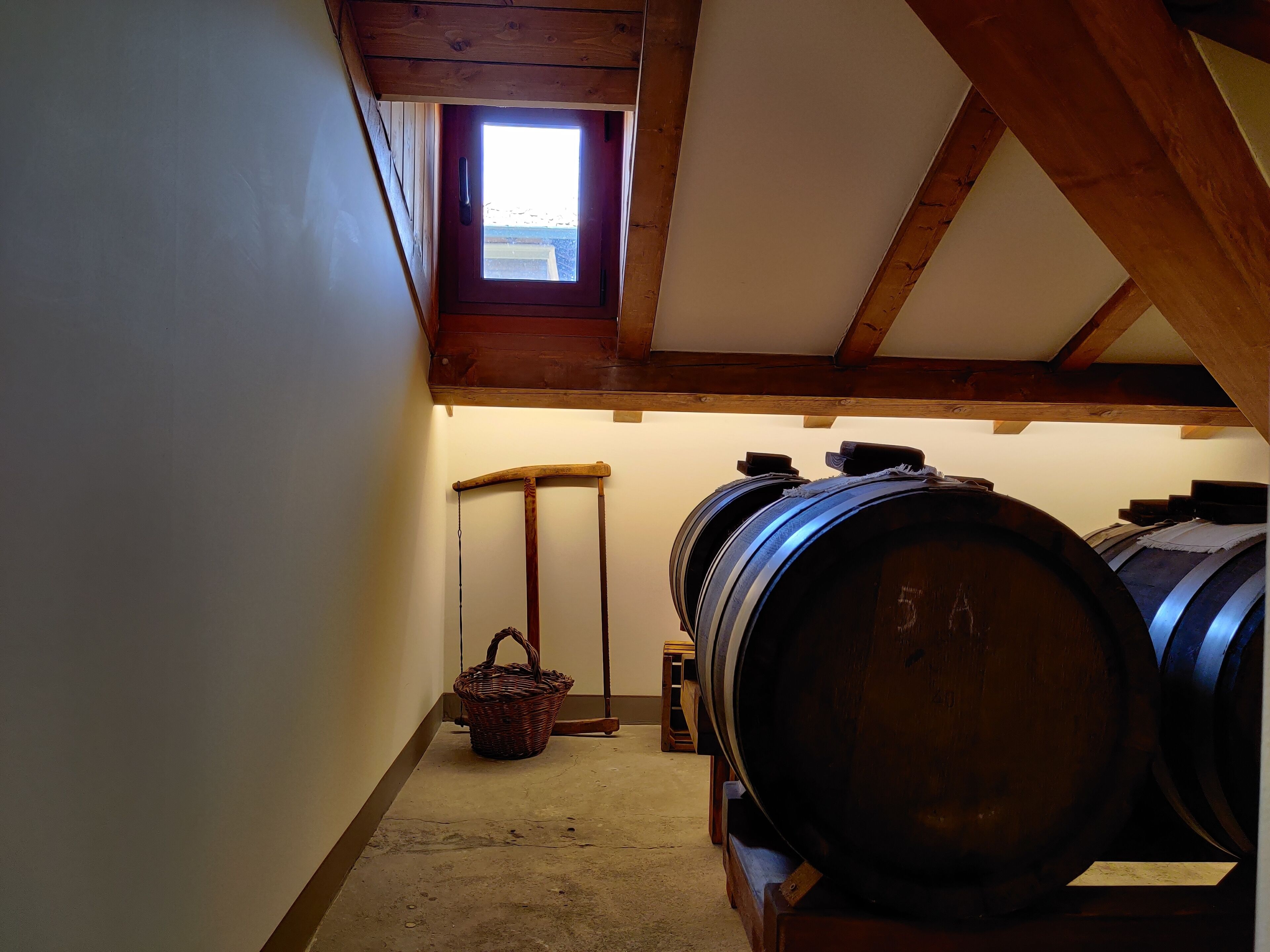 Photo - La Bella Modena Centro