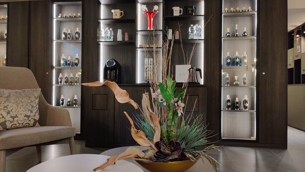 A modern living room with a sofa, a coffee table, and a decorative plant centerpiece. - La Bella Modena Centro (Modena)