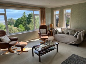 Fernseher, Kamin, DVD-Player