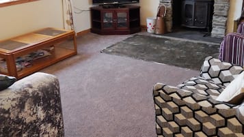 TV, lareira, DVD player