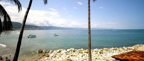 A beach with palm trees, a rocky shoreline, and boats in the water.