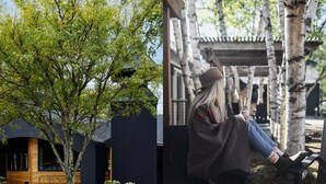 Un bâtiment moderne à la façade sombre, doté d’une terrasse en bois et d’un arbre devant.