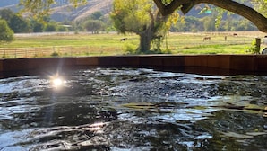 A tranquil outdoor pool area with a view of a grassy field and distant mountains. - Meadowlands Cottage, Horse Ranch with Wood Burning Stove and a River, Hot Tub (kernville)