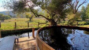 Bain à remous extérieur