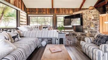 Smart TV, chimenea y libros