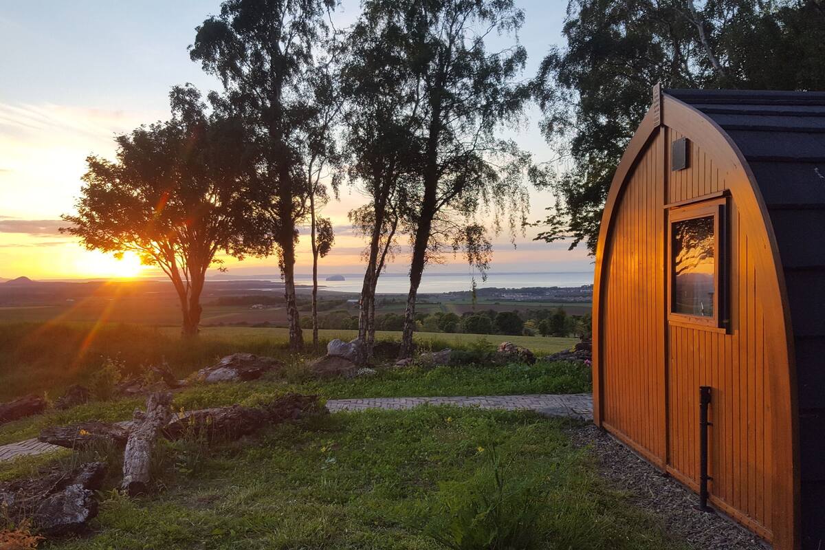 A wooden cabin with a window, surrounded by trees and a grassy landscape, with the sun setting in the background.