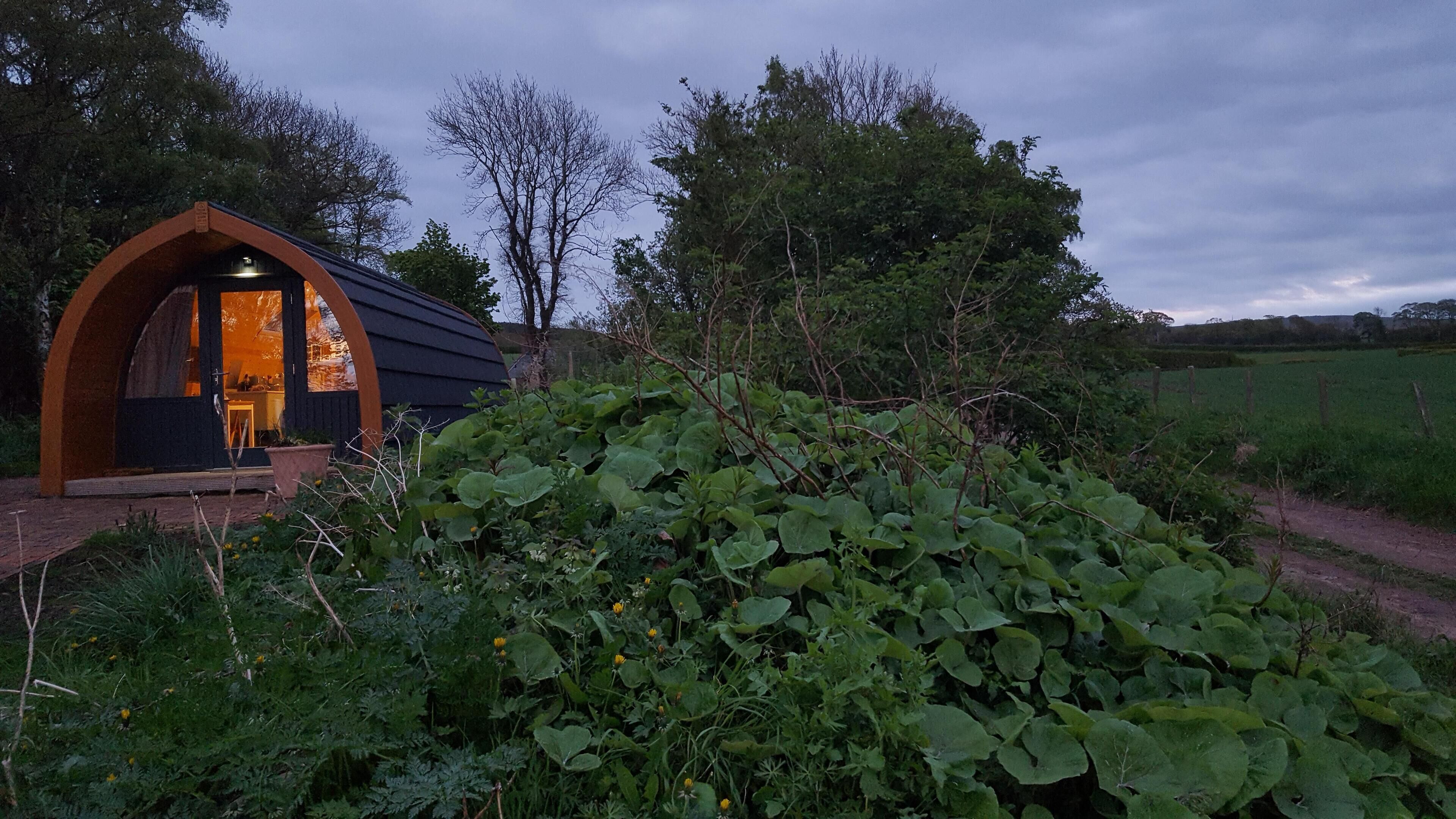 Een rustieke, halfopen constructie met een grote boogopgang, omgeven door weelderige begroeiing en een veld.