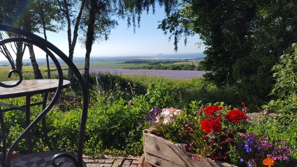 Cabane Luxe, salle de bains attenante, vue mer (Bass Rock Pod) | Vue depuis l’hébergement