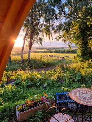 Cabane Luxe, salle de bains attenante, vue mer (Bass Rock Pod) | Jardin