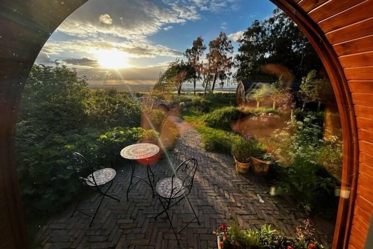 A circular view of a garden with a brick pathway, metal chairs, and potted plants.