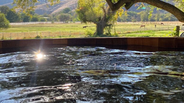 A tranquil outdoor pool area with a view of a grassy field and distant mountains. - Mountain View: Hot tub and sauna, next to the river and horses (Kernville)