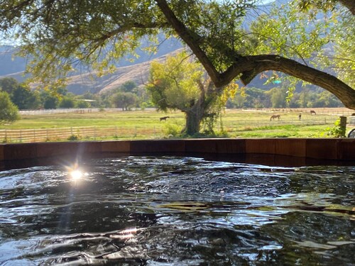 Mountain View: swimming hole and hot tub overlooking horse meadows