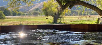 Mountain View: swimming hole and hot tub overlooking horse meadows