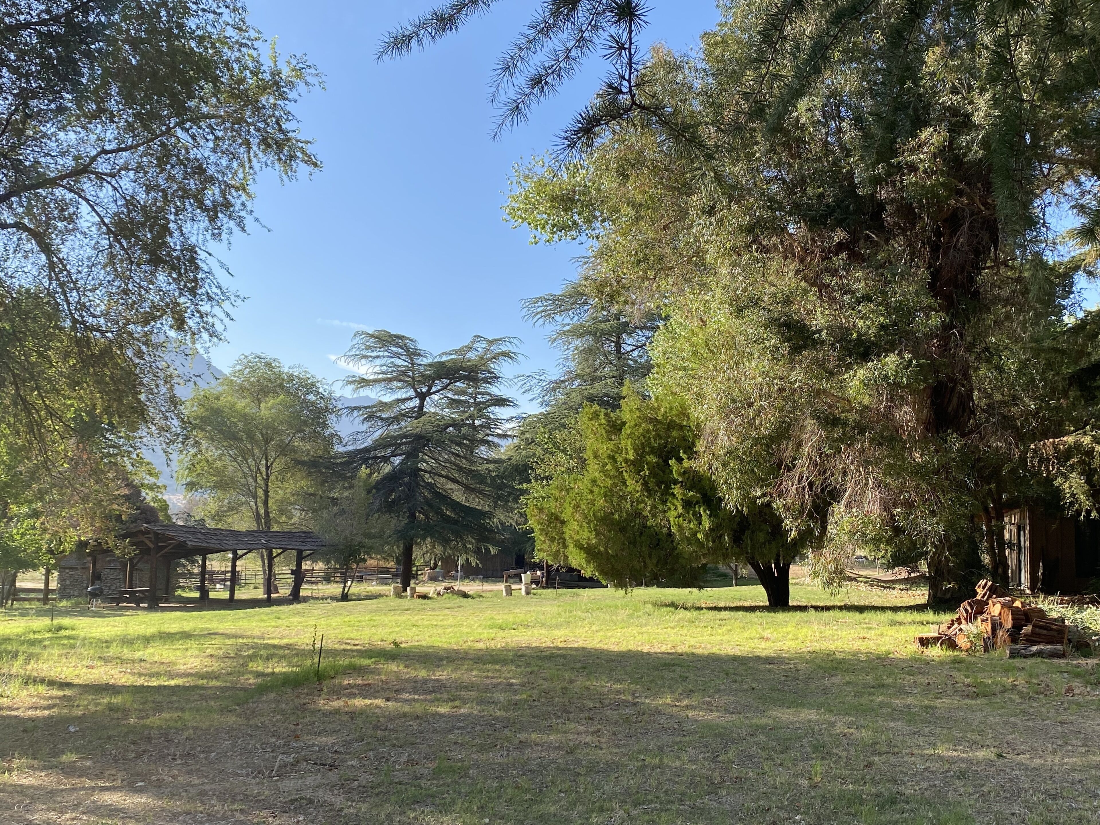 Original 1890's log cabin on horse ranch with hot tub, walking distance to town.