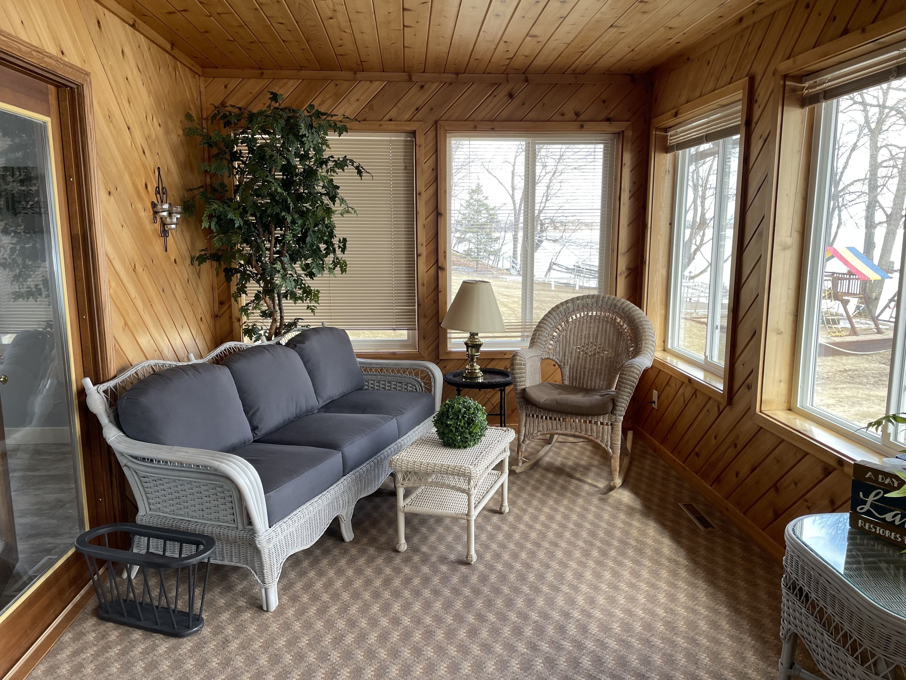 TV connectée, cheminée, jeux vidéo, lecteur de DVD