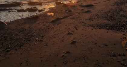 Cozy Home Right on Cosey Beach