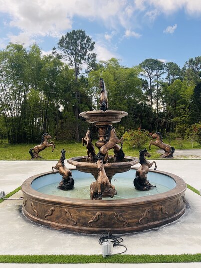 Modern home with Swimming pool and 5 acre lot 🌴🌴🏊‍♂️ ❤️❤️