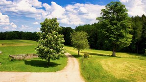 Een onverhard pad dat door een groen landschap met bomen en een heldere lucht loopt.