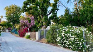 A residential street lined with trees and flowering bushes. - SoCal Daze, a Cozy Bungalow + Parking, Patio, BBQ (Pasadena)