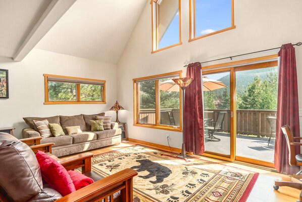 Smart TV, fireplace, books, computer monitors