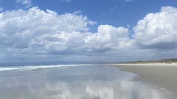 Playa en los alrededores y camastros