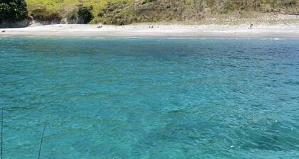 Relax Swim Boat Fish Explore at our classic family friendly kiwi beach bach