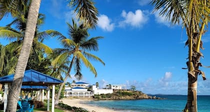 Darling Palms Retreat: Beachside 2-Bedroom Oasis