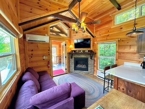 TV, fireplace
