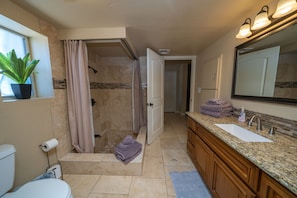 A bathroom with a shower, toilet, sink, and a potted plant. - Memories are made at the lake house l (Lake Havasu City)