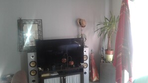 Un salon avec un téléviseur à écran plat posé sur un meuble, une plante en pot et un miroir accroché au mur.