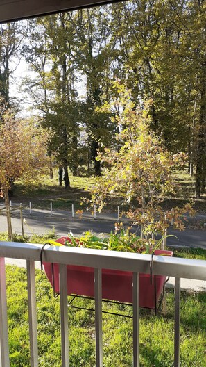 Une vue d’un parc avec des arbres et une route.