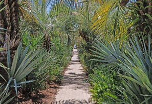 Property grounds - Steps to Private Beach Access, 5 Bedrooms, Private Pool/Heat option (Rosemary Beach)