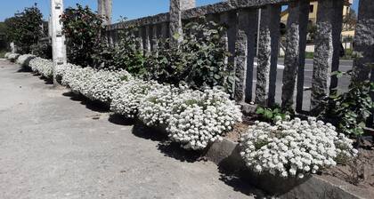 Sequeiros Hostal