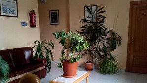 A room with a brown leather sofa, a wooden table, and several potted plants.
