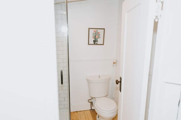 Un bagno con un water bianco, una piccola immagine incorniciata di un cactus al muro e una porta bianca.