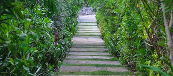 Ocean View Cottage, North Eleuthera, Driftwood Seahorse Cottage #3