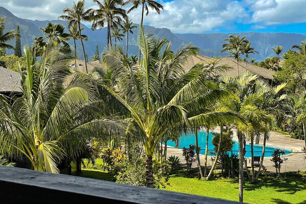 Property grounds - Ocean & mountain view home in amazing setting with pool - walk to Anini Beach (Princeville)