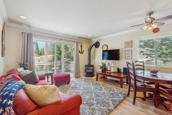 TV, fireplace, DVD player, books