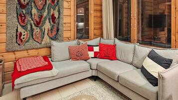 Televisio, DVD-soitin