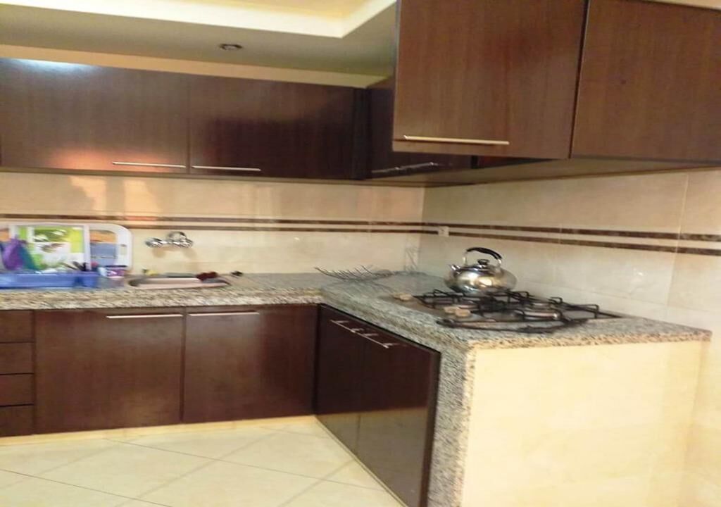 Fridge, stovetop, cookware/dishes/utensils