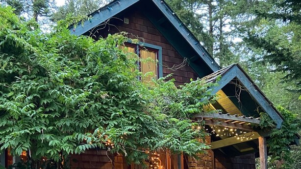 Eine rustikale Holzhütte mit einer Holztreppe, die zu einer Veranda führt, umgeben von dichtem Grün.
