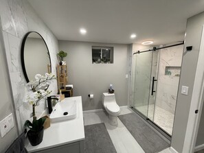 Shower, hair dryer, towels - Modern long island guest suite (South Hempstead)