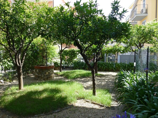 A garden with trees and a stone planter.