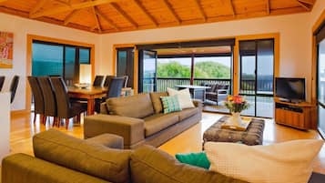 TV, fireplace, stereo