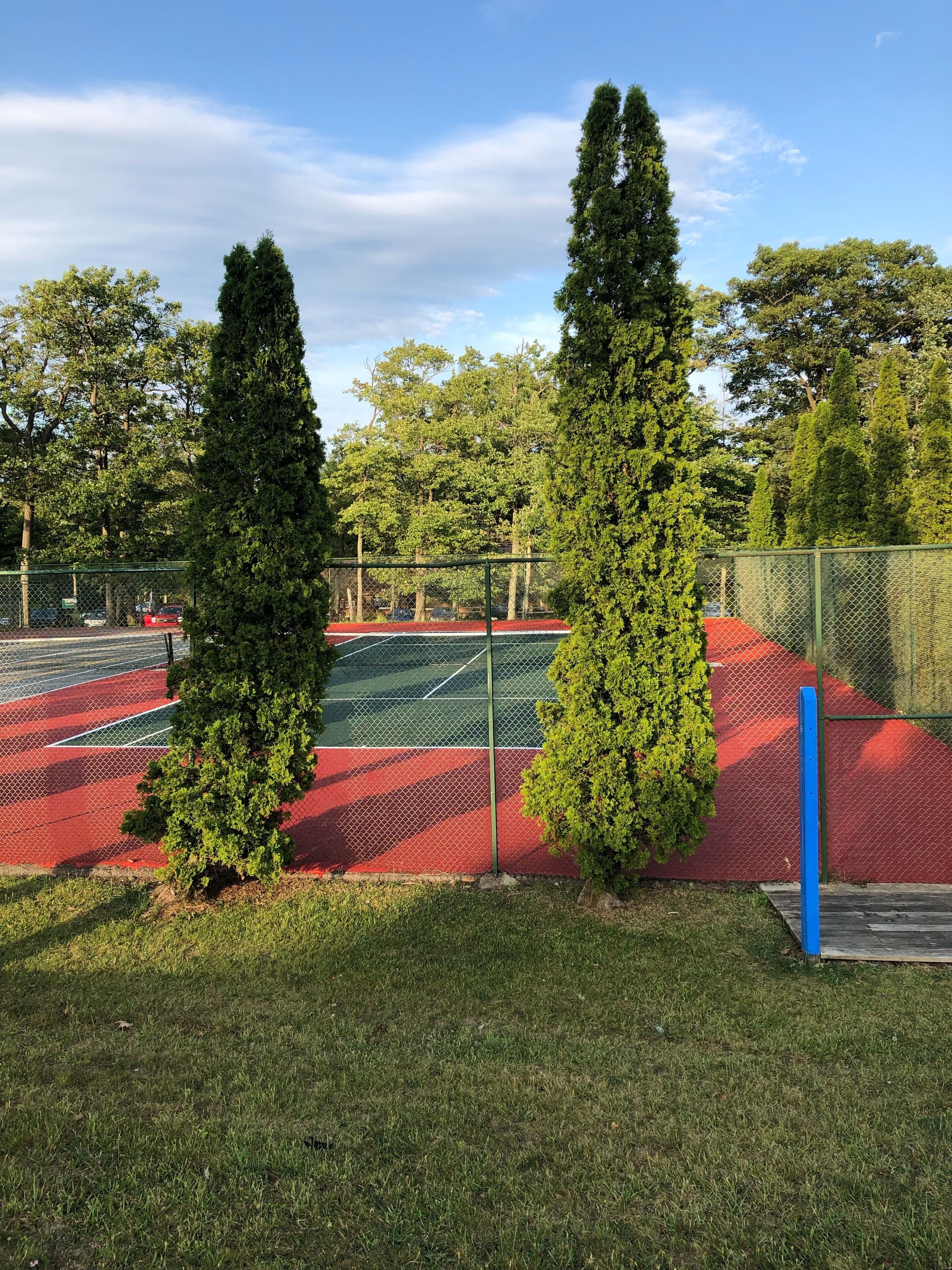 A tennis court with a chain-link fence, surrounded by trees and a grassy area.