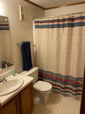 Une salle de bain avec des toilettes, un lavabo et un rideau de douche.
