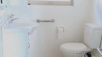 Combined shower/bathtub, hair dryer, towels, soap